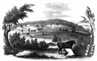 bennington_13512_lg.gif