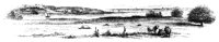 compo_13513_lg.gif