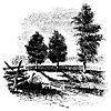 wooster_13516_th.gif