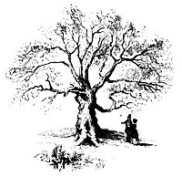 Charter-Oak_13560_sm.gif