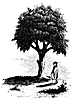 liberty-tree_13570_th.gif