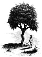 liberty-tree_13570_lg.gif