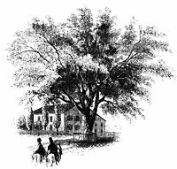 wash-elm_13604_sm.gif