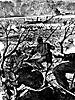 munfordvil_3_13930_th.gif