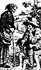 gray_pony_15748_th.gif
