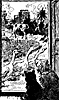 open-gate_15756_th.gif