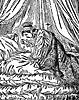 princess-pea_15810_th.gif