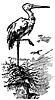 storks_15881_th.gif