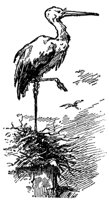 storks_15881_md.gif