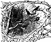 birds-tree_16024_th.gif