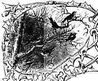 birds-tree_16024_sm.gif