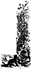 cat_16046_th.gif