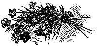 flower_16051_sm.gif