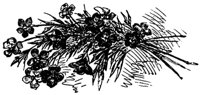 flower_16051_md.gif