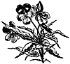 flowers_16065_th.gif