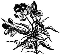 flowers_16065_sm.gif
