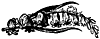 flowers_16070_th.gif