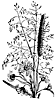 flowers_16074_th.gif