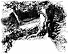 woods_16085_th.gif