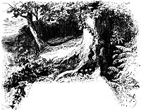 woods_16085_sm.gif