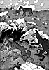 fox-colt_16118_th.gif