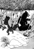 fox-bear_16119_md.gif