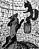 fox-wolf_16120_th.gif