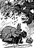 fox-rabbit_16121_th.gif