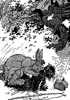 fox-rabbit_16121_sm.gif