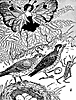 fairy-skylar_16126_th.gif