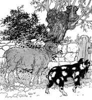 ram-pig_16127_md.gif