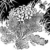 bee_16132_th.gif
