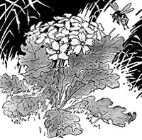 bee_16132_sm.gif
