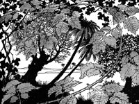 bramble_16137_lg.gif