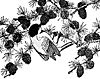 chickadee_16142_th.gif