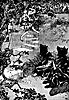 pinocchio7_16155_th.gif