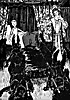 pinocchio9_16157_th.gif