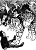 nils_16158_th.gif
