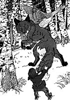 nils3_16160_sm.gif