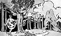 poplar_16165_sm.gif