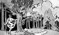poplar_16165_md.gif