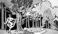 poplar_16165_lg.gif