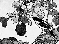 birds_16166_sm.gif