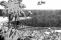 palm-trees_16167_sm.gif