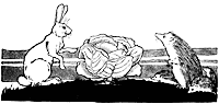 hare-hedge_16179_sm.gif