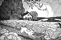 hare-hedge2_16180_sm.gif