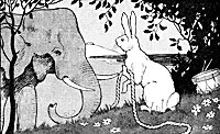 rabbit_16182_sm.gif