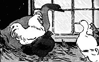 animals_16188_sm.gif