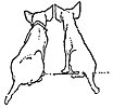 dogs_16272_th.gif