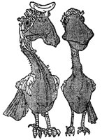 birds_16299_md.gif